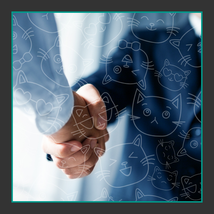 Zwei Personen in Geschäftskleidung schütteln sich die Hände, überlagert von transparent umrandeten Katzengesichtern